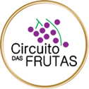 Logotipo Pólo Turístico do circuito das uvas